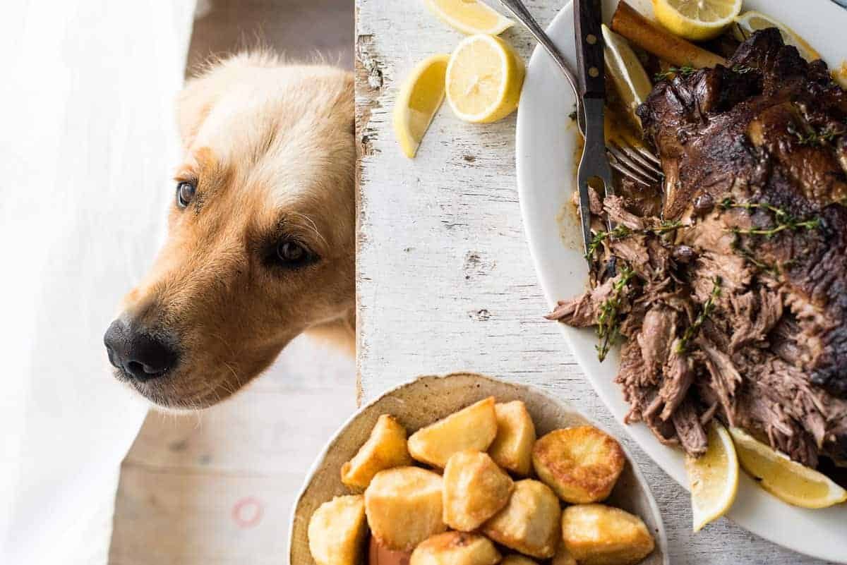 Slow Roasted GREEK Leg of Lamb - Tender fall apart lamb made the Greek way! Super easy.