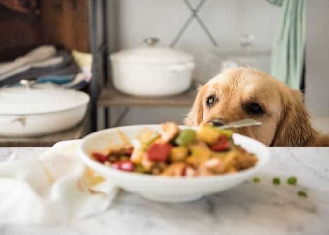 dozer-sweet-and-sour-chicken-stir-fry-12