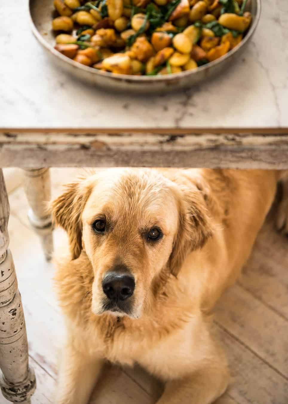 Pan Fried Gnocchi with Pumpkin and Spinach - Golden crispy on the outside, soft on the inside, with a butter sage sauce, roasted pumpkin and spinach. www.recipetineats.com