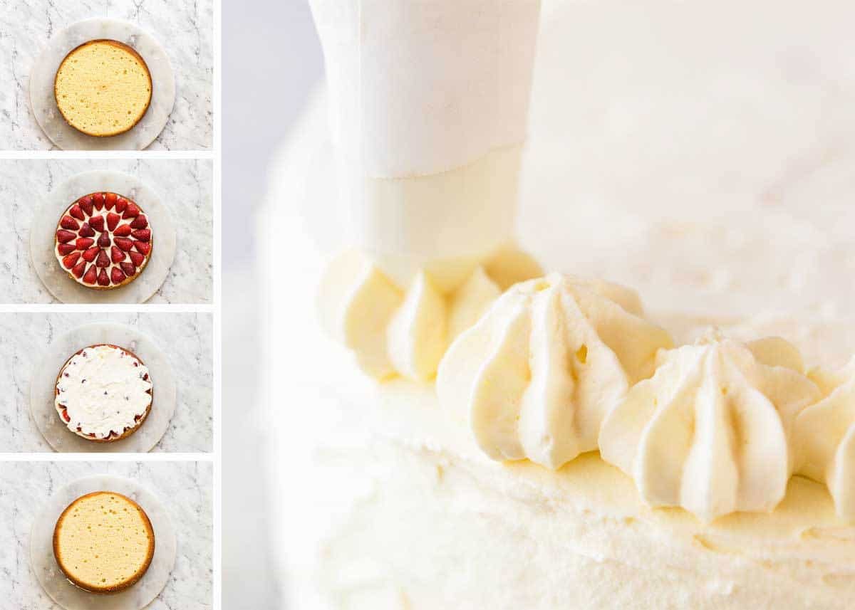 An exceptional, classic Vanilla Sponge Cake. Tender crumb, moist, keeps well for 3 days. A Cooks' Illustrated recipe. recipetineats.com