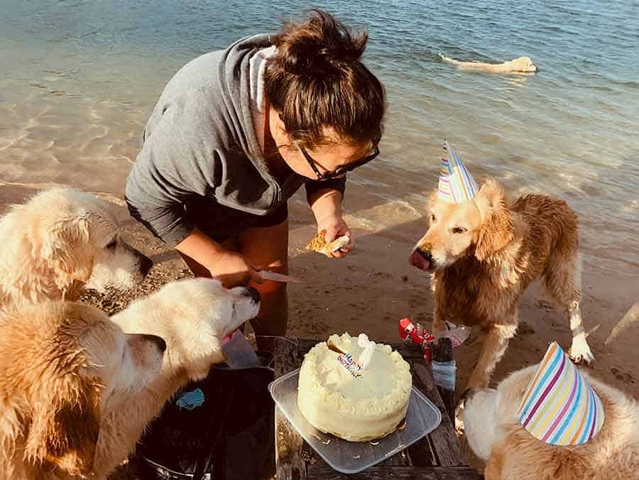 Dozer birthday party-Bayview-April 2019