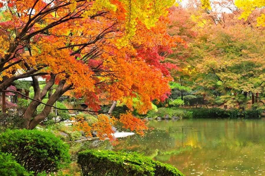 Tokyo in Autumn