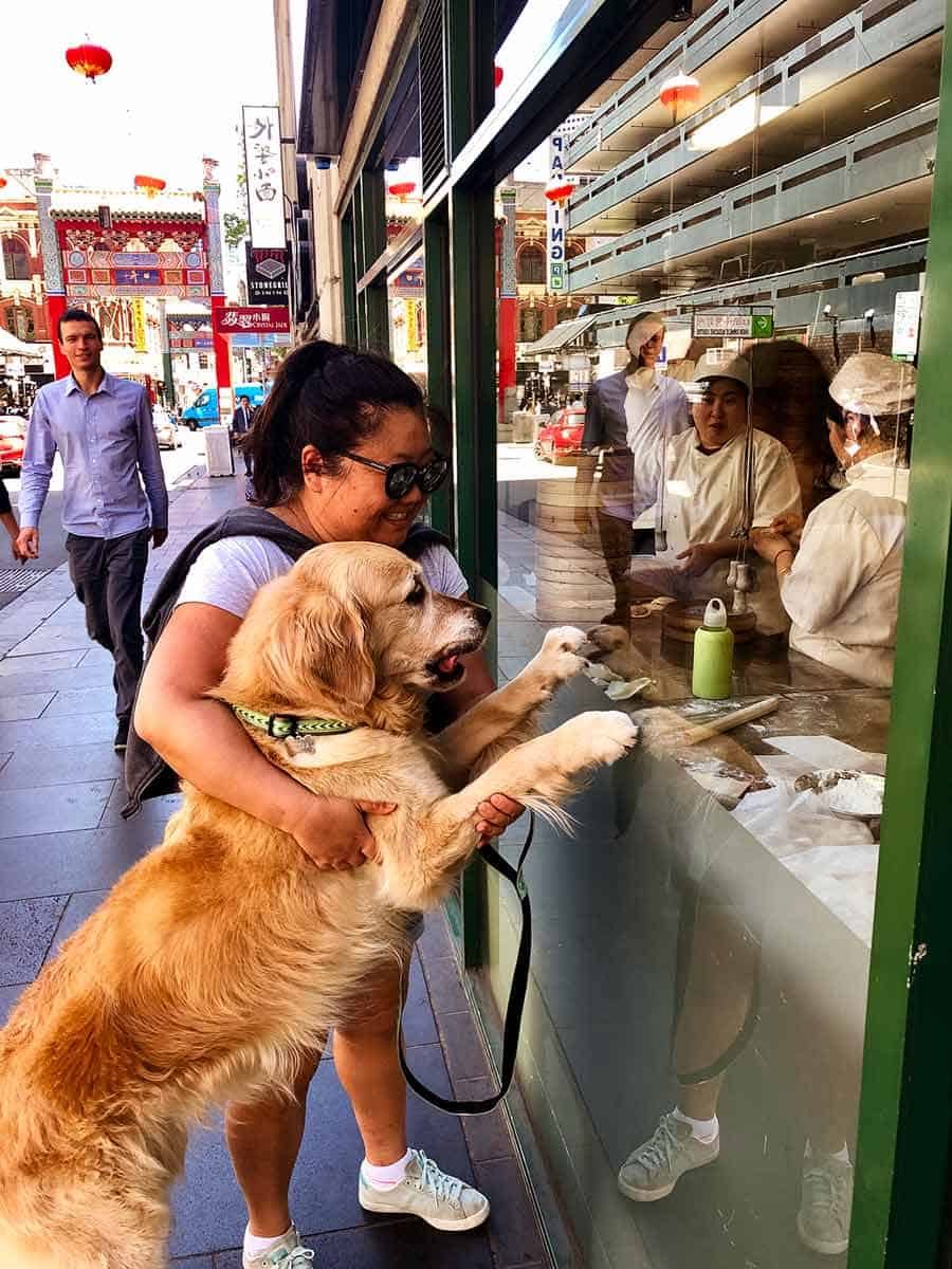 Dozer Nagi Melbourne dumpling shop China Town