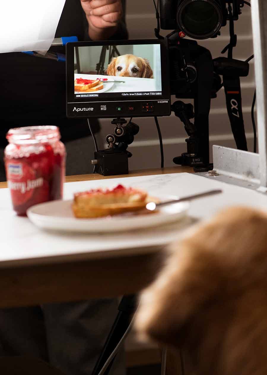 Dozer No Yeast sandwich bread