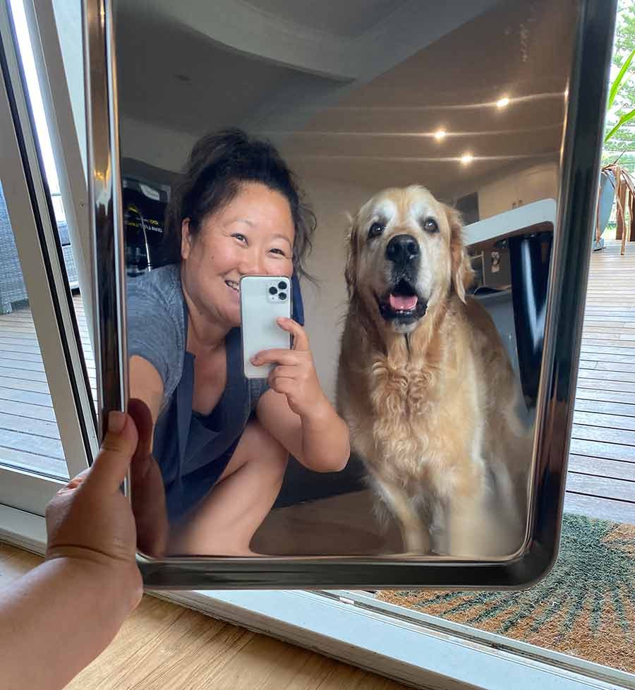 Nagi and Dozer shiny baking tray