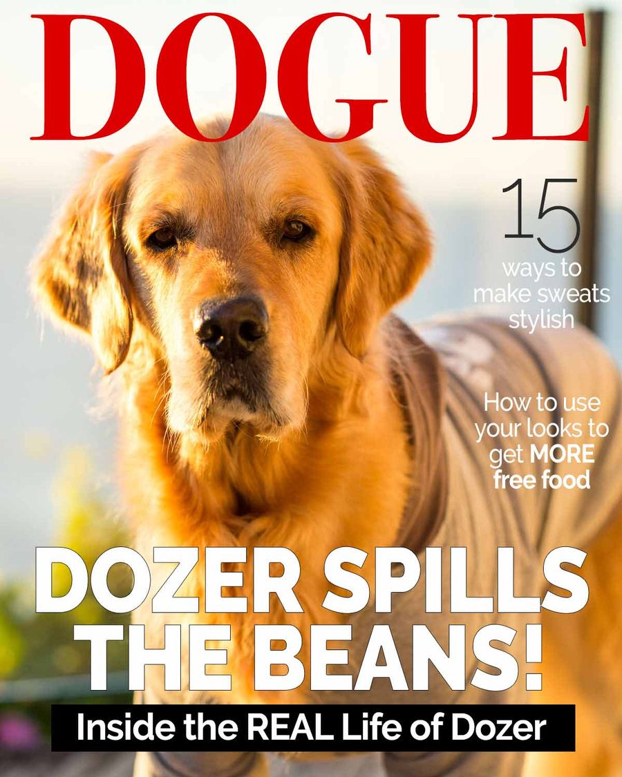 Dozer Nagi Interview 2020