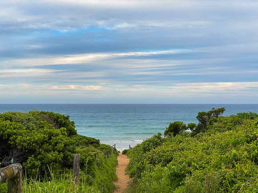 Dozer not allowed onto Mona Vale beach
