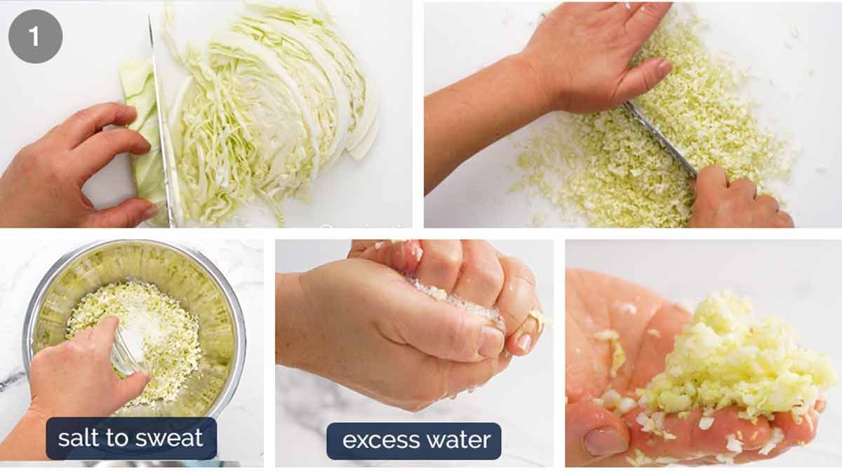 How to make Vegetable Dumplings (Potstickers)