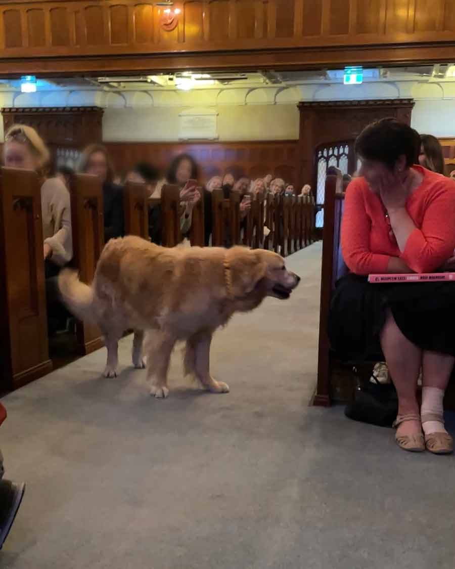 Dozer at Kinokuniya book tour event