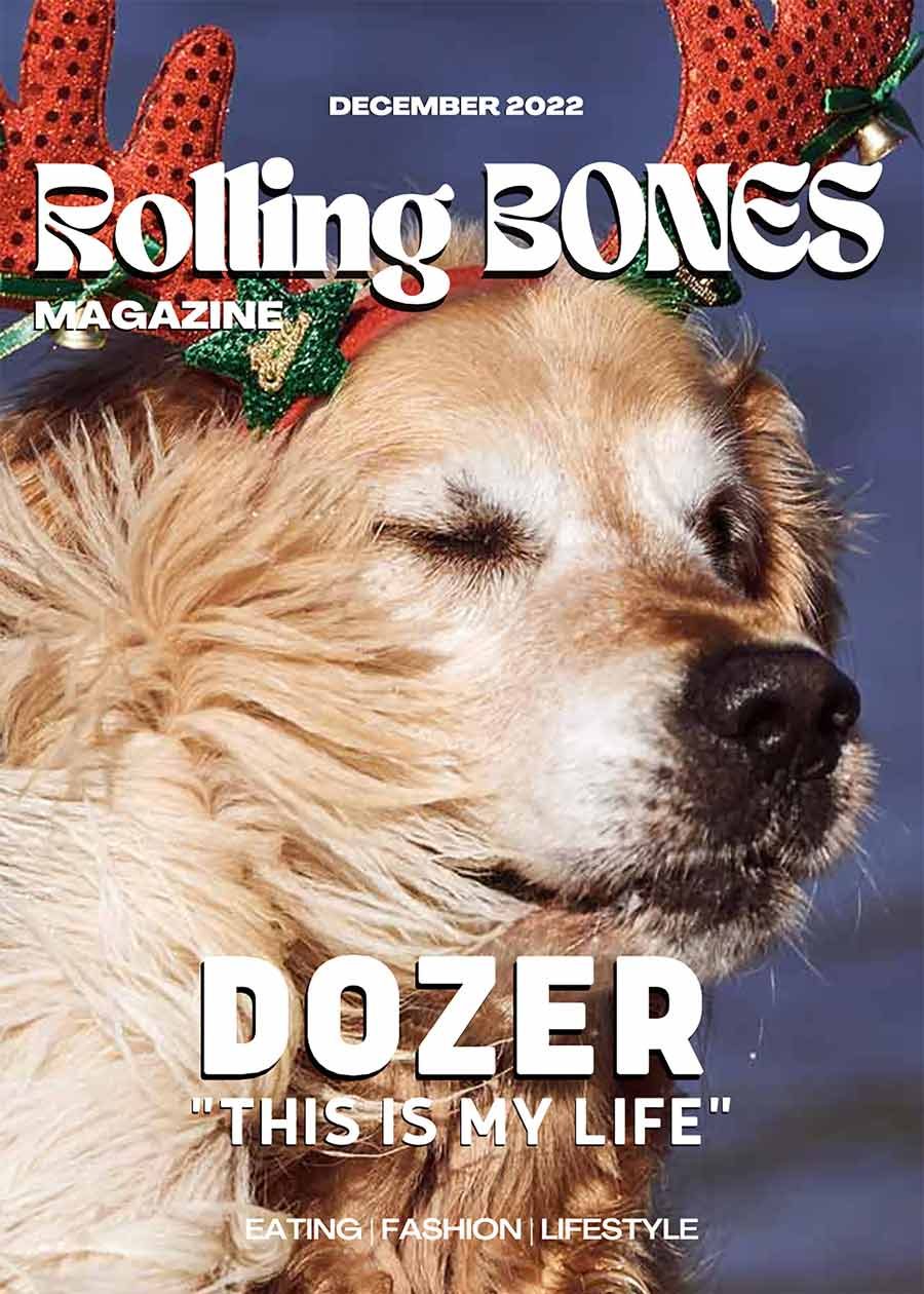 Interview with Dozer 2022