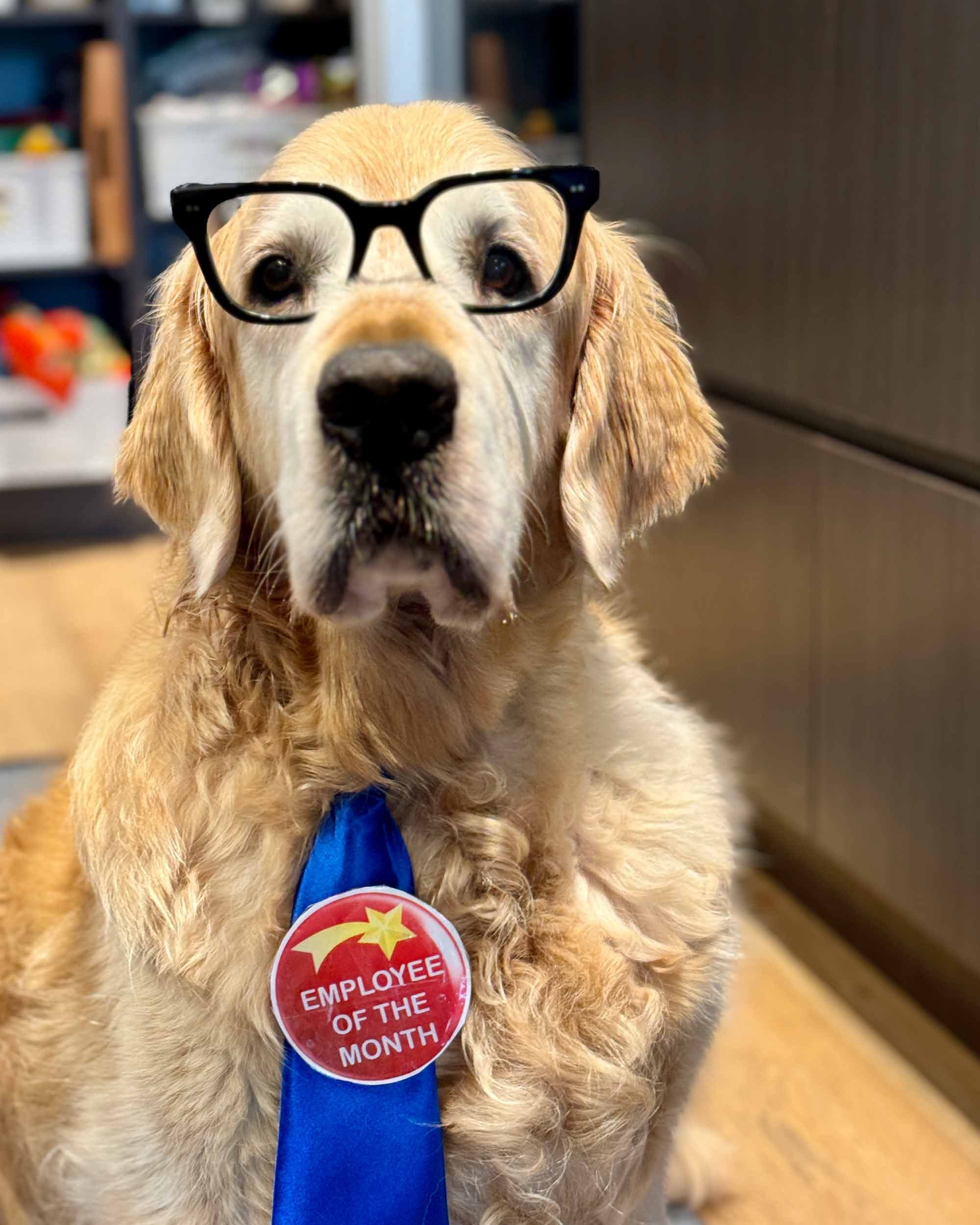 Dozer-employee-of-the-month