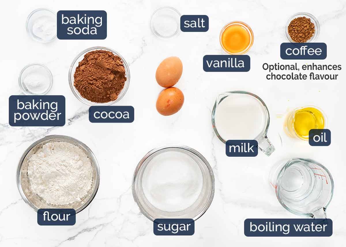 Chocolate peanut butter cake ingredients