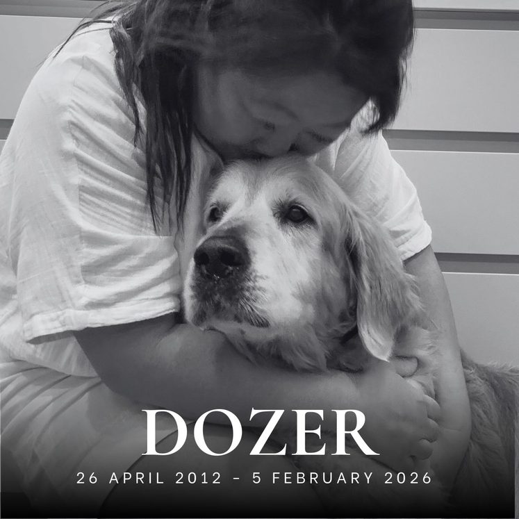 Dozer tribute